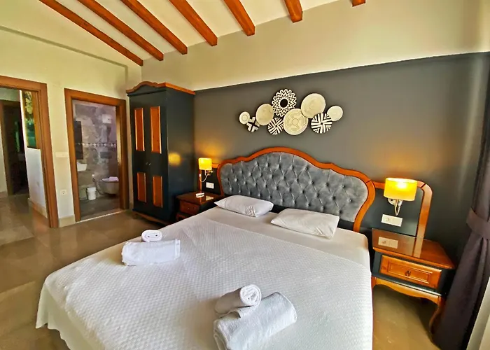 别墅 Tlos Dream 3+1 Villa, Oezel Havuzlu, *