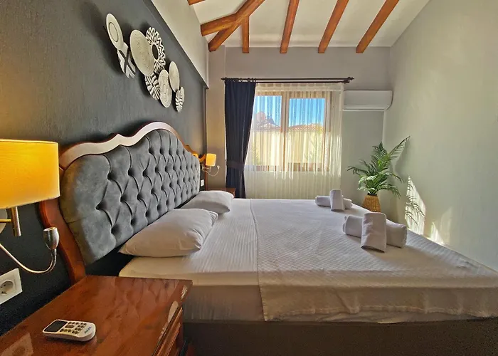 别墅 Tlos Dream 3+1 Villa, Oezel Havuzlu, 费特希耶